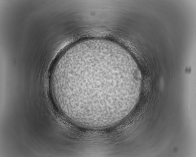 X0000097900679200804111045