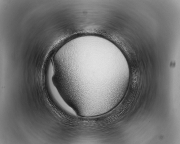 X0000097900680200804111045