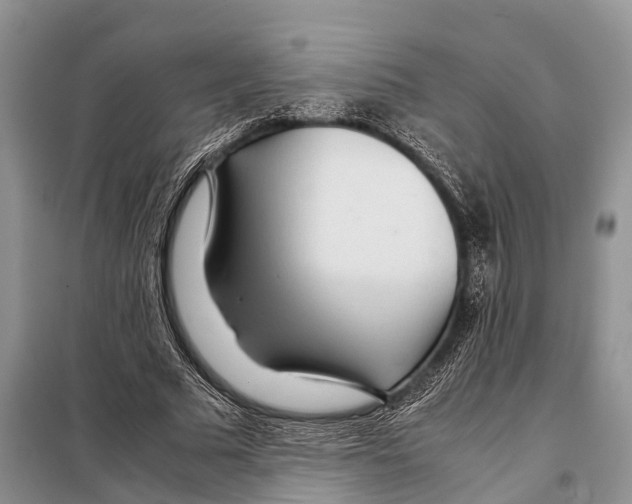 X0000097900681200804111045