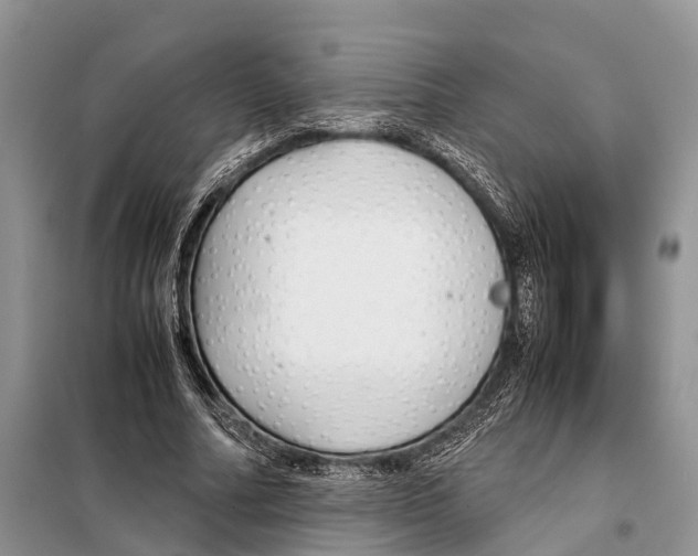 X0000097900682200804111045