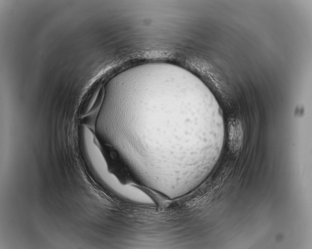 X0000097900684200804111045