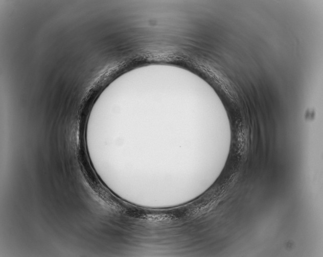 X0000097900686200804111045