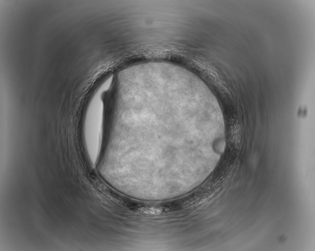 X0000097900687200804111045