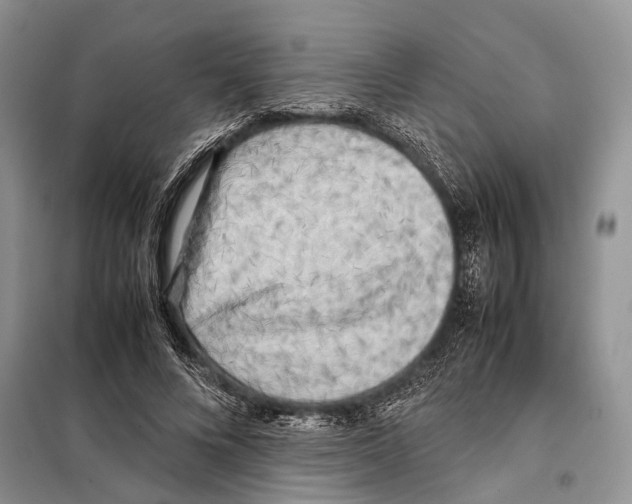 X0000097900688200804111045