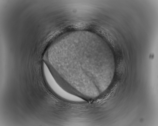 X0000097900689200804111045