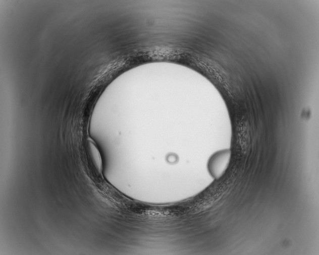 X0000097900690200804111045