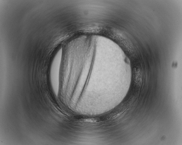 X0000097900692200804111045