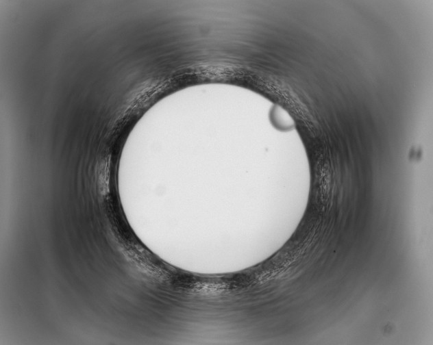 X0000097900694200804111045