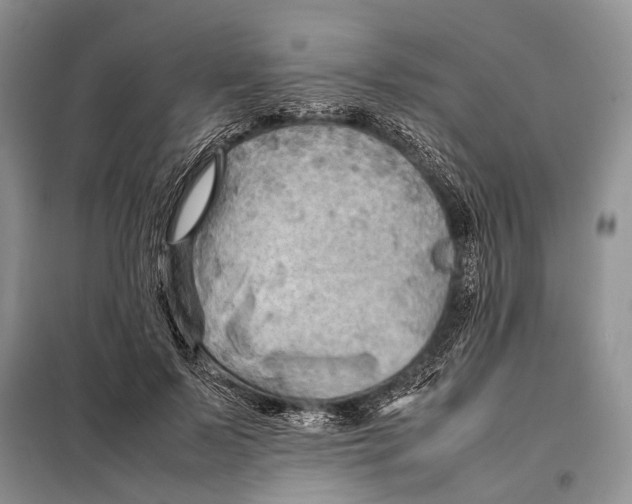 X0000097900695200804111045