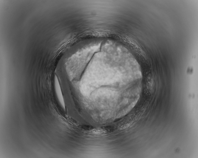 X0000097900696200804111045