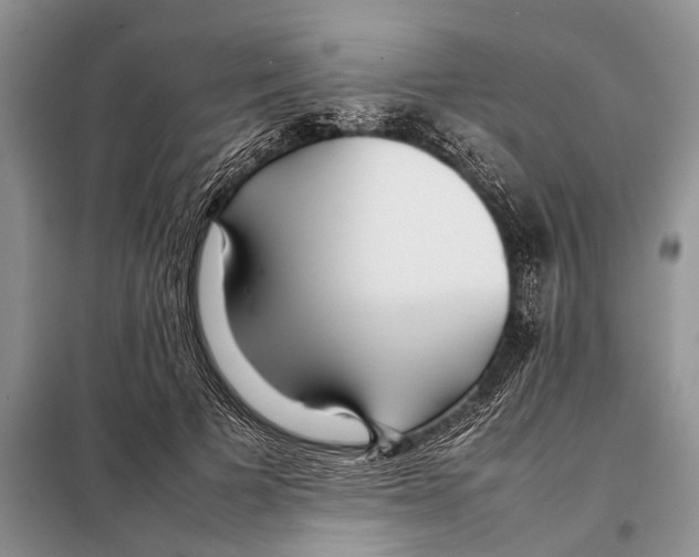 X0000097900697200804111045