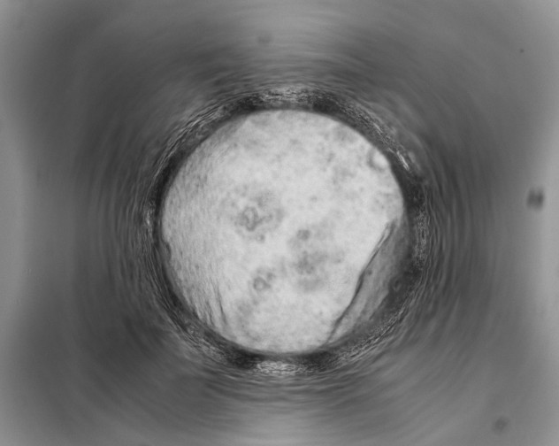 X0000097900699200804111045