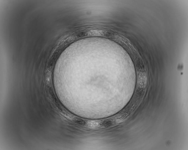 X0000097900701200804111045