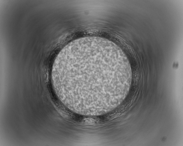 X0000097900703200804111044