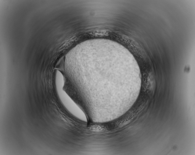 X0000097900704200804111044