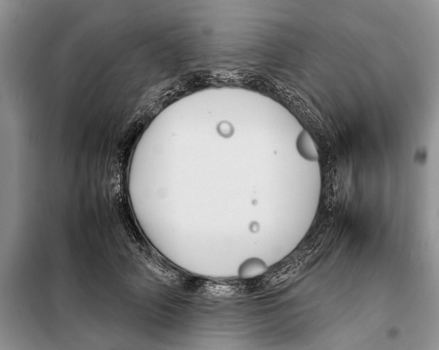 X0000097900706200804111044