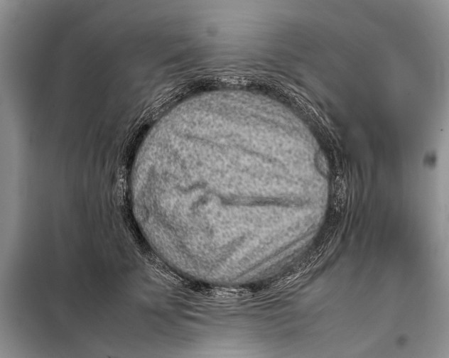 X0000097900707200804111044