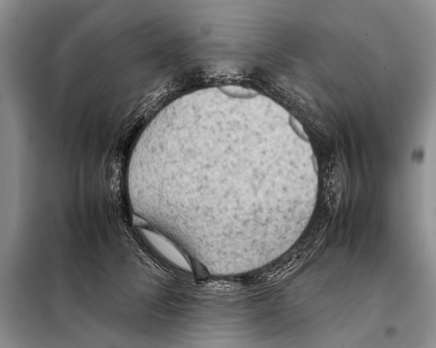 X0000097900708200804111044