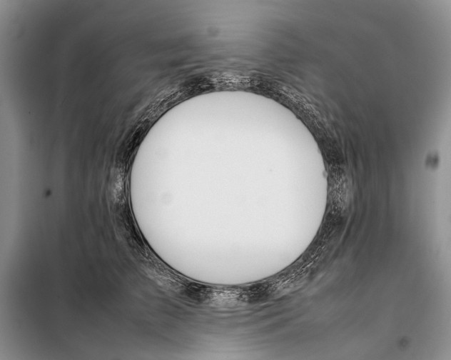 X0000097900709200804111044