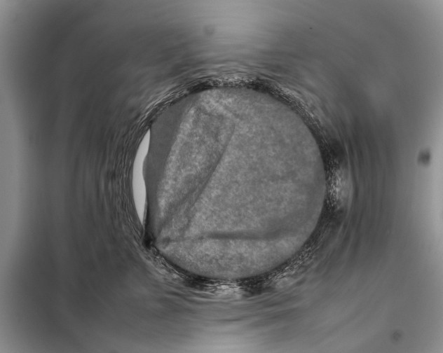 X0000097900715200804111044