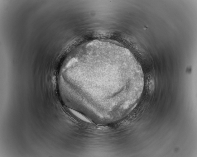 X0000097900716200804111044