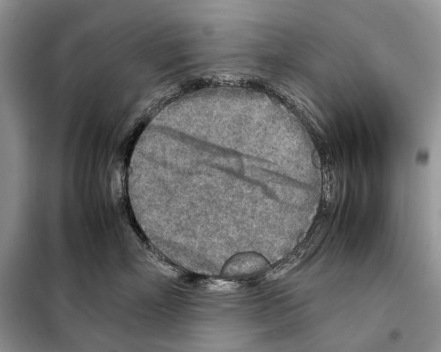 X0000097900718200804111044