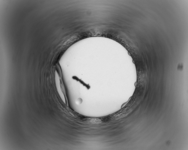 X0000097900719200804111044