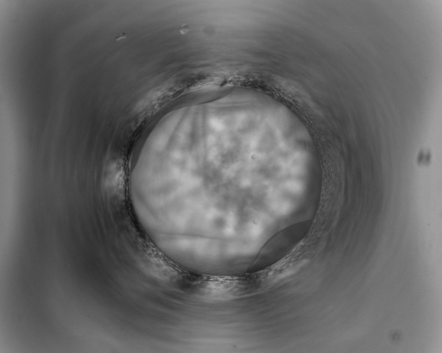 X0000097900720200804111044