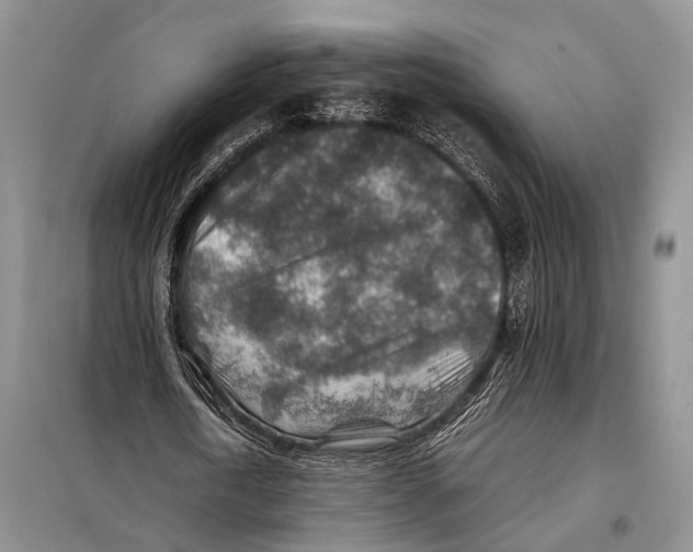 X0000097900722200804111043