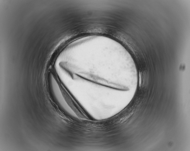 X0000097900723200804111043