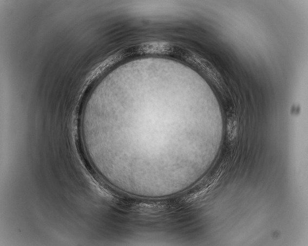 X0000097900725200804111043