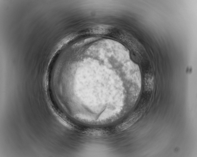 X0000097900726200804111043