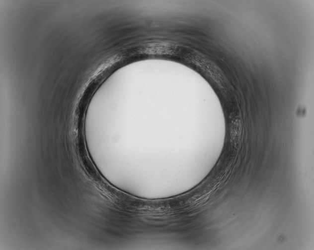 X0000097900727200804111043