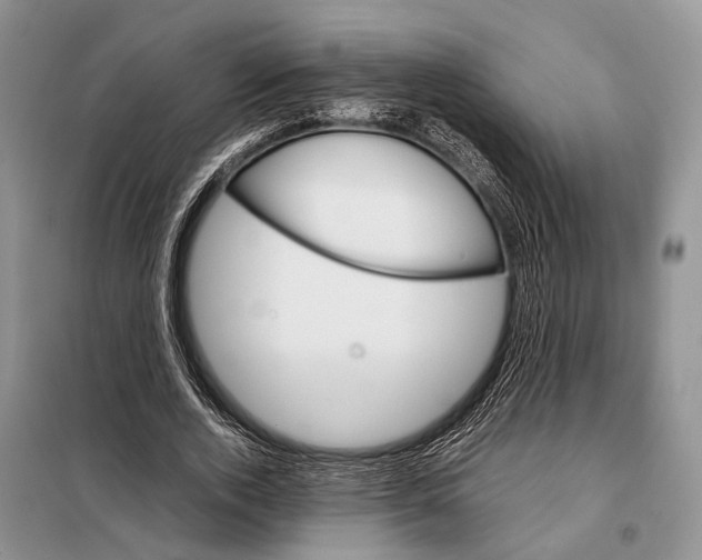 X0000097900728200804111043