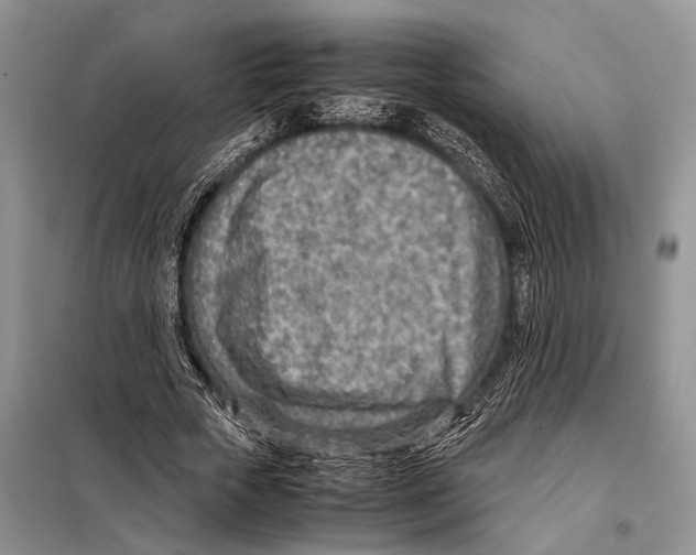 X0000097900729200804111043