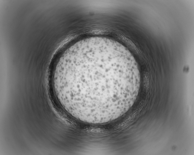 X0000097900730200804111043