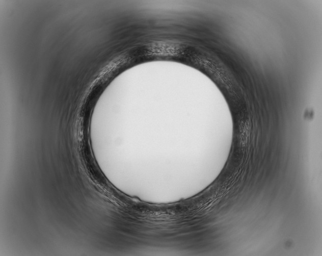 X0000097900731200804111043