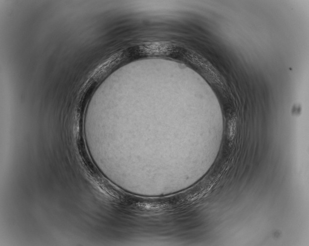 X0000097900733200804111043