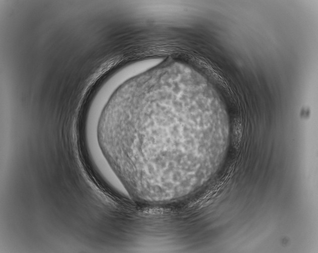 X0000097900734200804111043