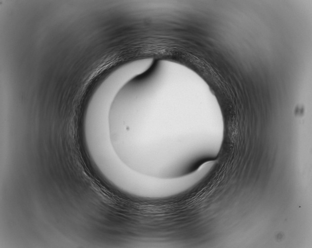 X0000097900735200804111043