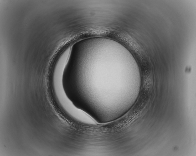 X0000097900736200804111043