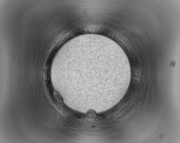 X0000097900738200804111043