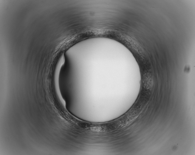 X0000097900740200804111044