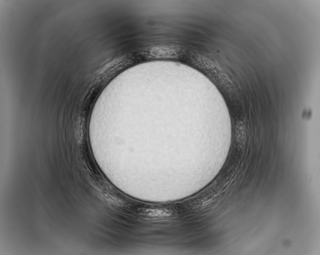 X0000097900741200804111044