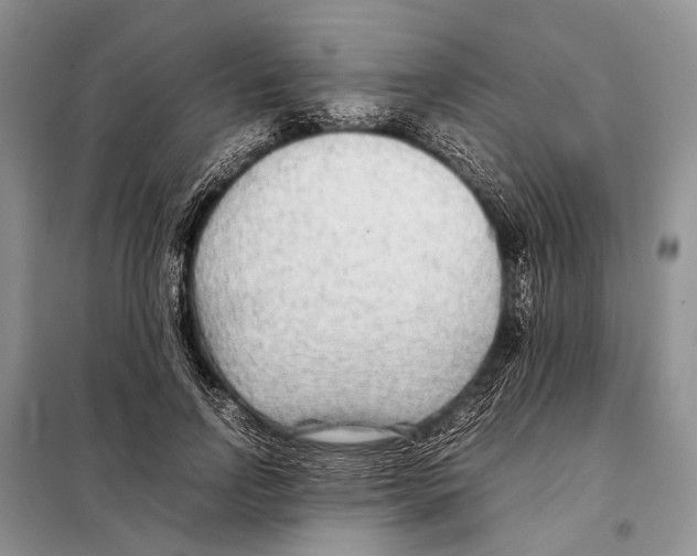 X0000097900742200804111044