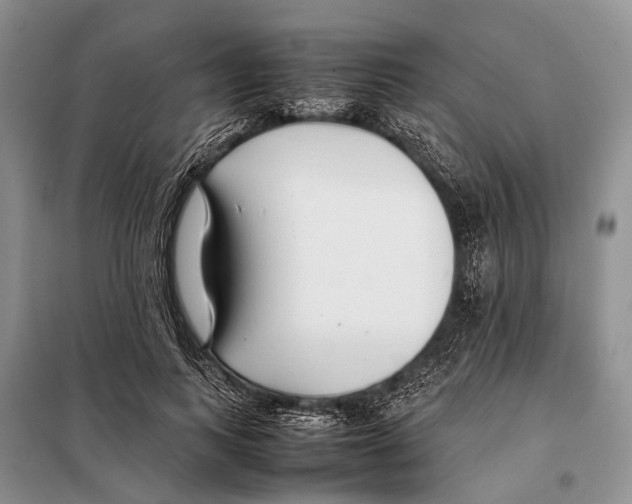 X0000097900743200804111044