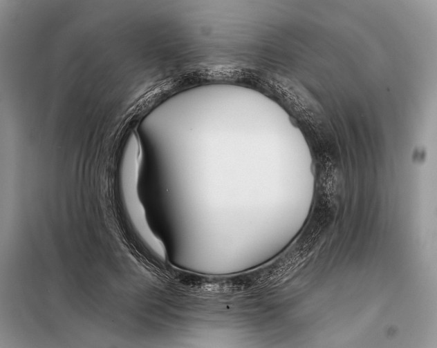 X0000097900744200804111044