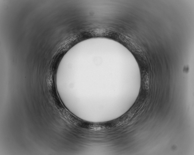 X0000097900746200804111044