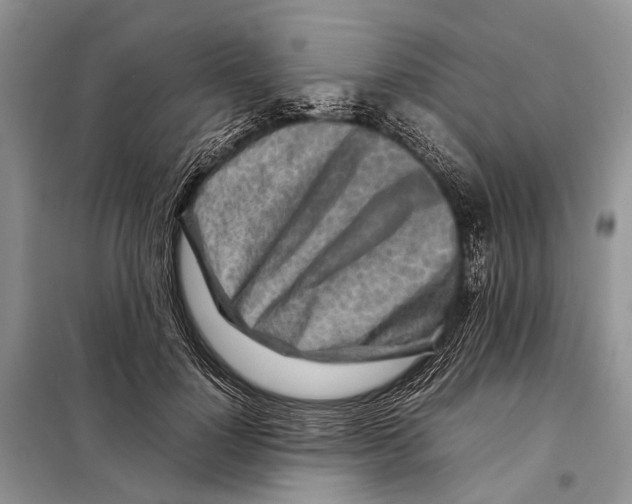 X0000097900748200804111044