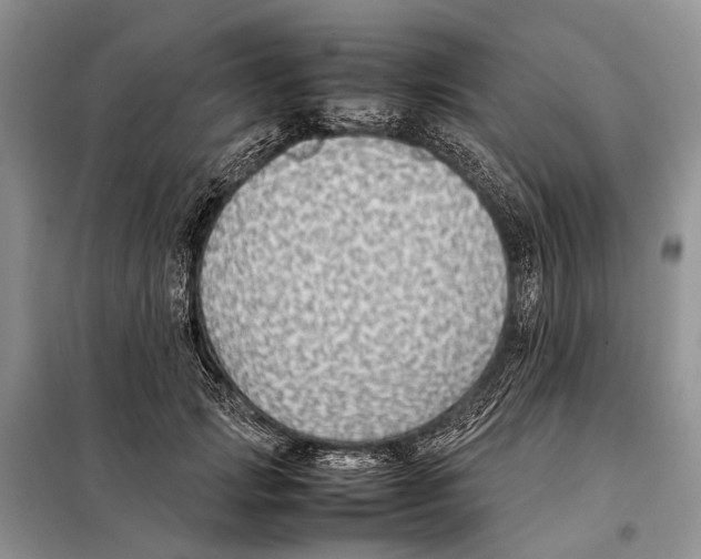 X0000097900749200804111044